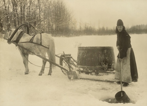 Водовоз Череменецкого монастыря, 1913. Фотограф Карл Карлович..0