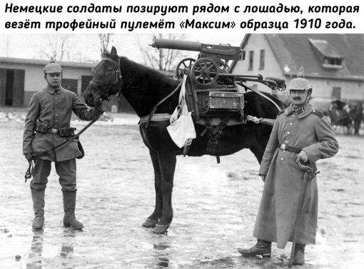 Животные на войне во время Первой мировой..1