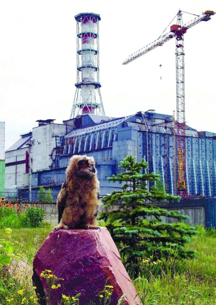 Фотографии Чернобыльской АЭС, сделанные дозиметристом..9