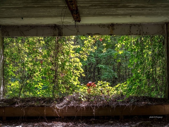 Фотографии Чернобыльской АЭС, сделанные дозиметристом..3