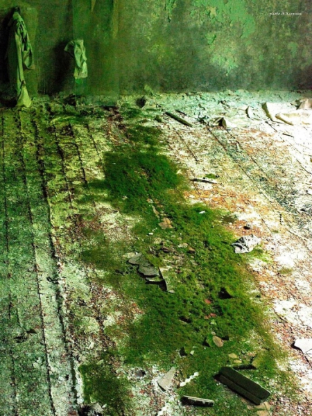 Фотографии Чернобыльской АЭС, сделанные дозиметристом..1