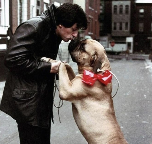 История о преданности и успехе: Сильвестр Сталлоне и его пёс..0