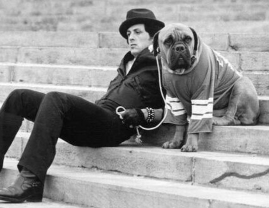 История о преданности и успехе: Сильвестр Сталлоне и его пёс..2