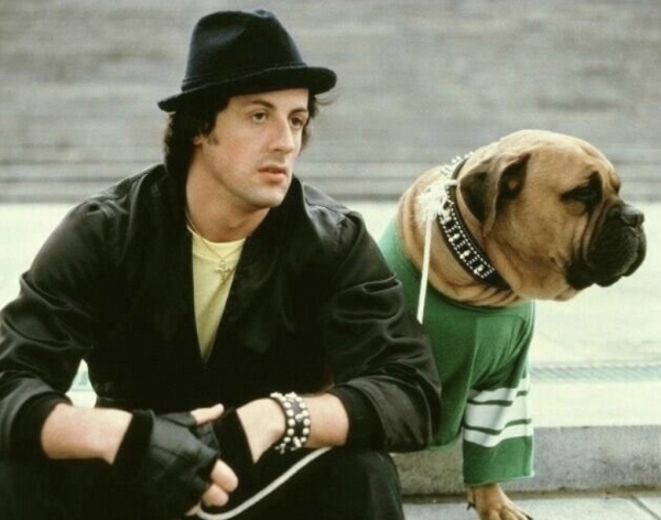 История о преданности и успехе: Сильвестр Сталлоне и его пёс..1