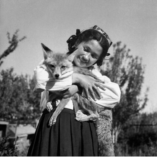 Юная пионерка с лисой, 1951 год, фото — Григорий Капустянский,..0