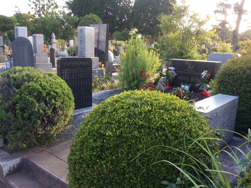 Могилу Рихарда Зорге на кладбище г.Тама (пригород Токио) мы..3