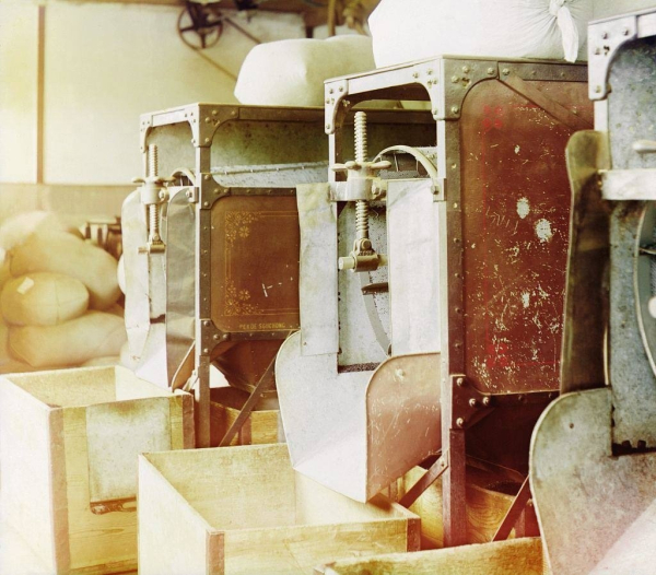 На чайной плантации в Чакви, поселке к северу от Батуми...1