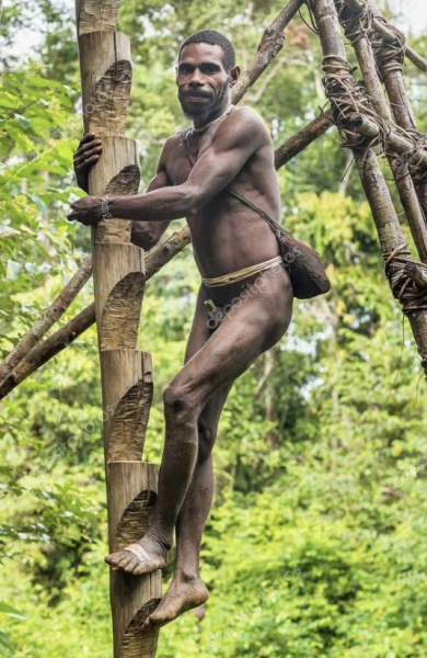 Племя короваи, проживающее в непроходимых лесах индонезийской..0