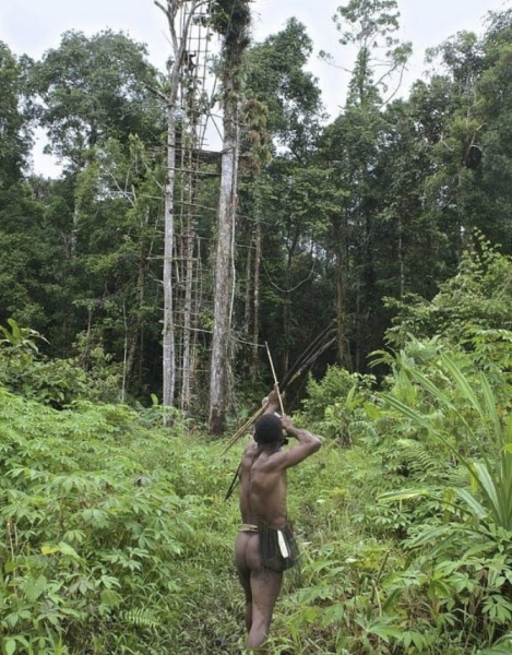 Племя короваи, проживающее в непроходимых лесах индонезийской..2