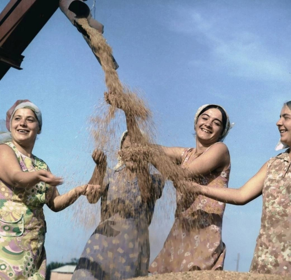 Работницы колхоза «Заря коммунизма», радуются новому урожаю..0