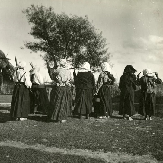 Русские крестьяне, 1910-1916 гг., фото — Василий..6