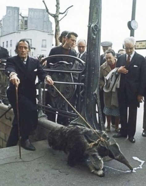 Сальвадор Дали со своими муравьедами, 1960..0