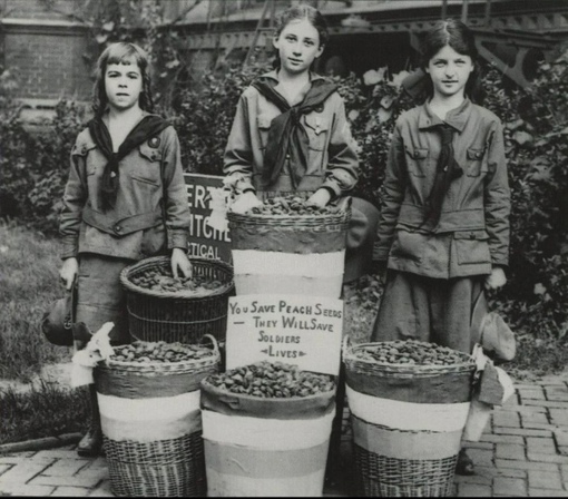 Три девочки из скаутской организации за сбором персиковых..0