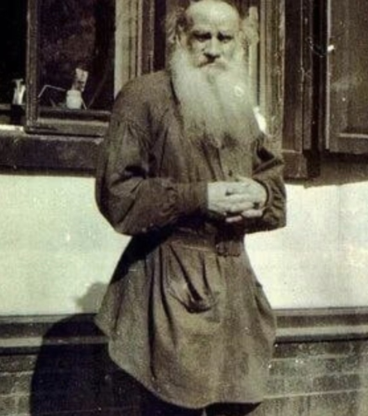 В 1881 году семья Толстых переехала в Москву, чтобы дать детям..0