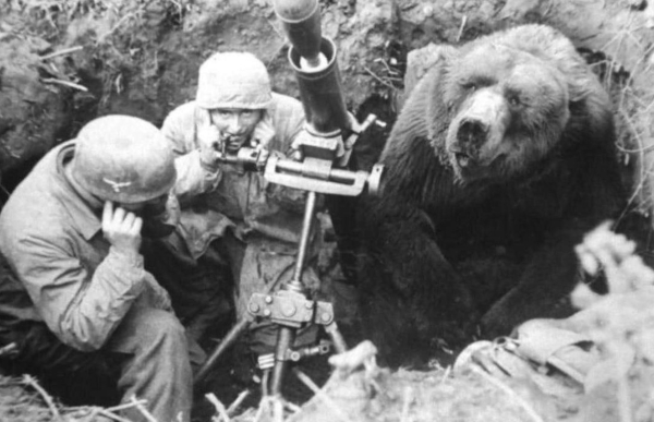 Во время Второй мировой войны, когда польская Армия Андерса..0