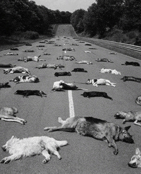 Жестокий отпуск: Предательство на трассе Маньи-Кур
Фото,..0