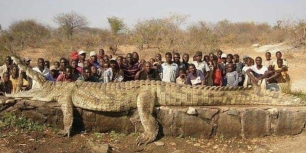 Жители маленькой деревни на берегу реки Нигер неоднократно..0