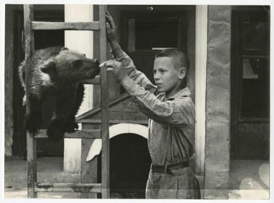 Дети в московском зоопарке ,1943 г .

Автор фотографий : Сергей Васин..0