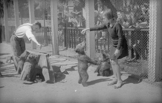 Дети в московском зоопарке ,1943 г .

Автор фотографий : Сергей Васин..3
