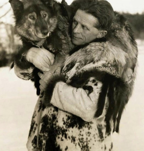 Это Того, 12-летний хаски-вожак.
Во время Великой гонки милосердия..0