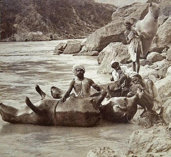 Надувные лодки из буйволиной кожи, Индия, 1900-е..0