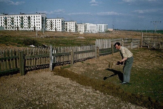 Огороды в Чертаново .Москва ,1964 г..0