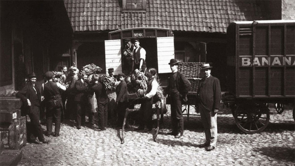 Первые бананы в Норвегии, 1905..0