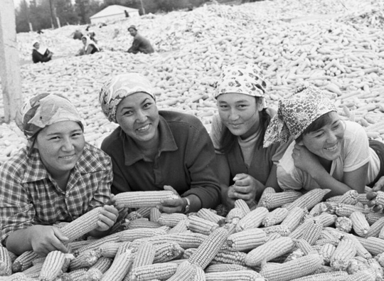 Работницы колхоза 