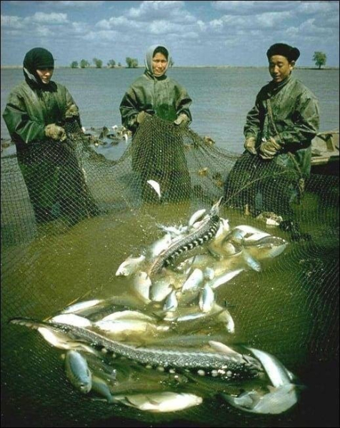 Рыбаки с уловом .Казахская ССР..0