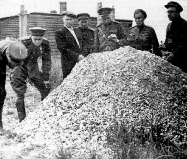 Советские солдаты в ужасе: гора человеческого пепла в Майданеке,..0