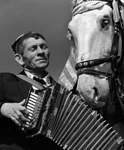 Татары – второй по численности народ России после русских (4,7 млн..1