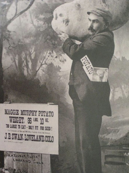 В 1889 году фермер Джозеф Свон использовал крайне смелый..0