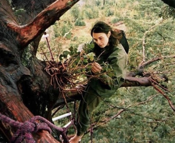В 1997 году экоактивистка Джулия Лоррейн Хилл залезла на дерево и..0