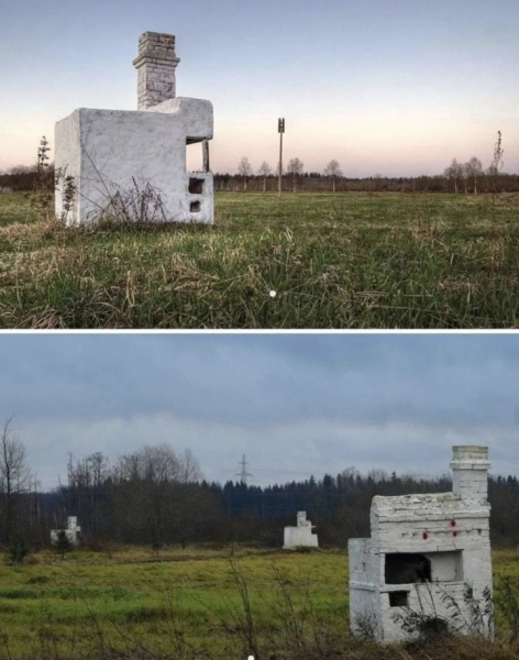 В Ленинградской области в поле рядом с дорогой стоят побеленные..0