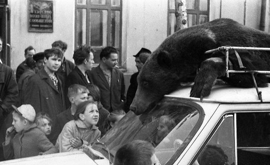 Возвращение с охоты.Южно-Сахалинск..0