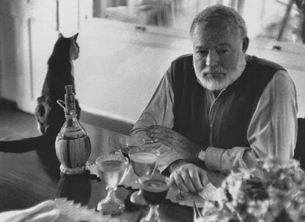 Выжить вопреки всему: трагическая судьба Эрнеста..0