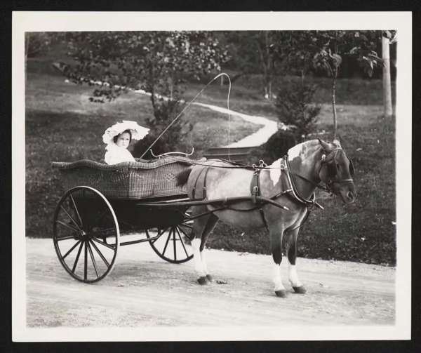 1904 год,..0