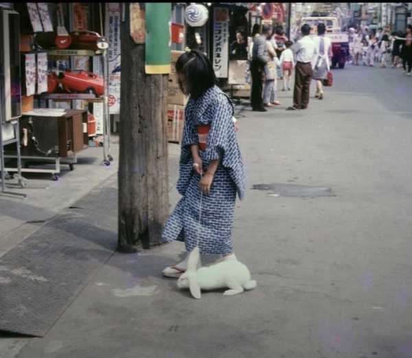 Девочка выгуливает кролика .Япония ,1973..0