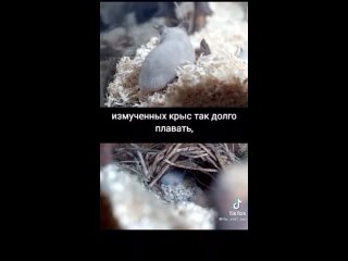 Эксперимент 