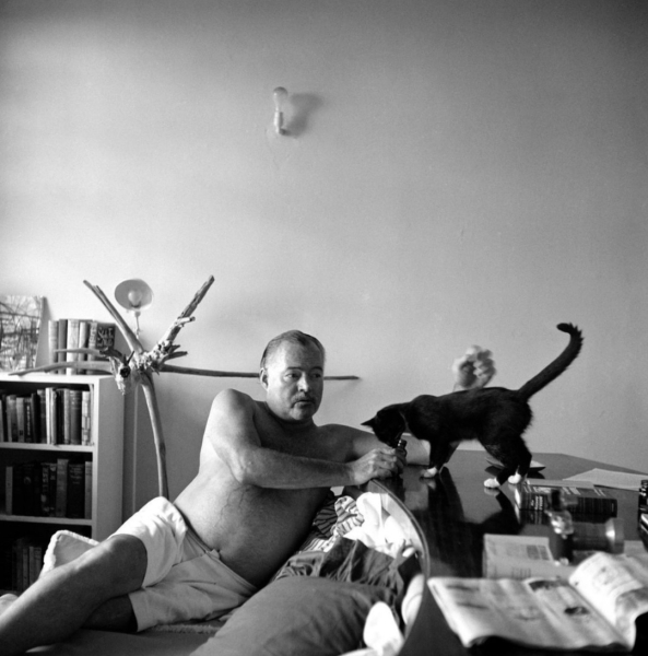 Эрнест Хемингуэй и его котик на съемке для журнала Vogue, Куба, 1950..0