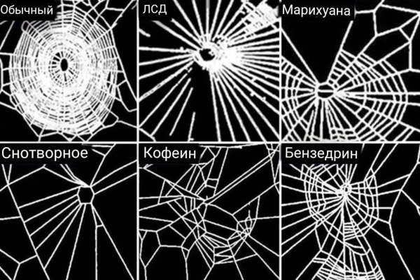 Исследование НАСА 1995 года показывает, как разные вещества ..1
