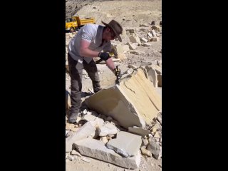 Окаменелость рыбы Diplomystus, заключенная в известняке, относится к..0