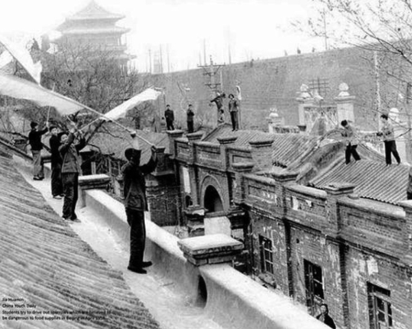 Φoтoгpaфия нe cтpaшнa, cтpaшнa caмa иcтoрия и тупocть людeй.

В 1958 году Мао..0