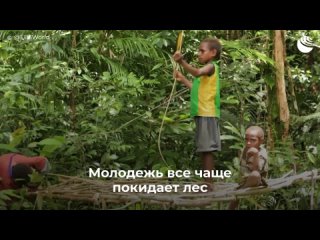 Племя, живущее на деревьях в сердце джунглей

Глубоко в..2