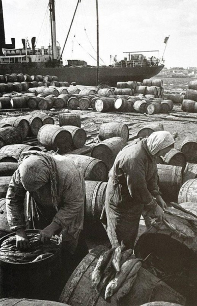 Засолка рыбы в порту. Владивостока, 1936..0