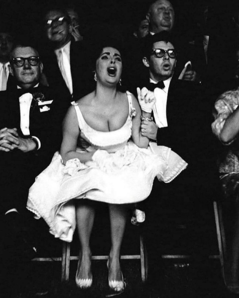 Элизабет Тейлор с увлечением наблюдает за боксерским матчем, 1960..2