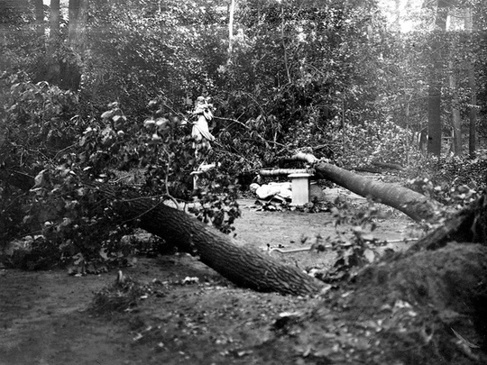 Наводнение в Ленинграде ,1924..1