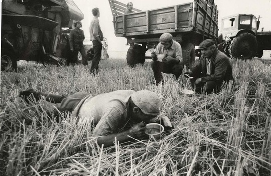 Обед на полевом стане.СССР ,1975 г 

Автор фото : Георгий..0