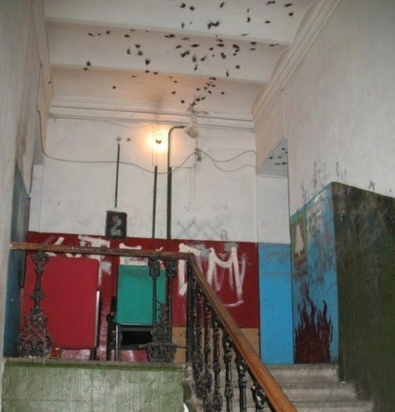 Подъездная жизнь молодёжи 90-х: бунт, романтика и суровая..4