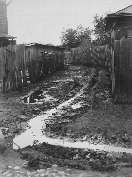 Село Останкино .Московская губерния ,1913..0